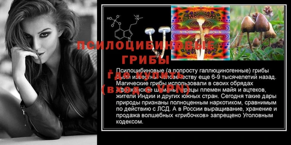 PSILOCYBIN Белокуриха