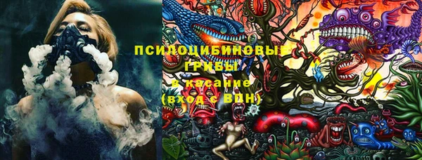 PSILOCYBIN Белокуриха